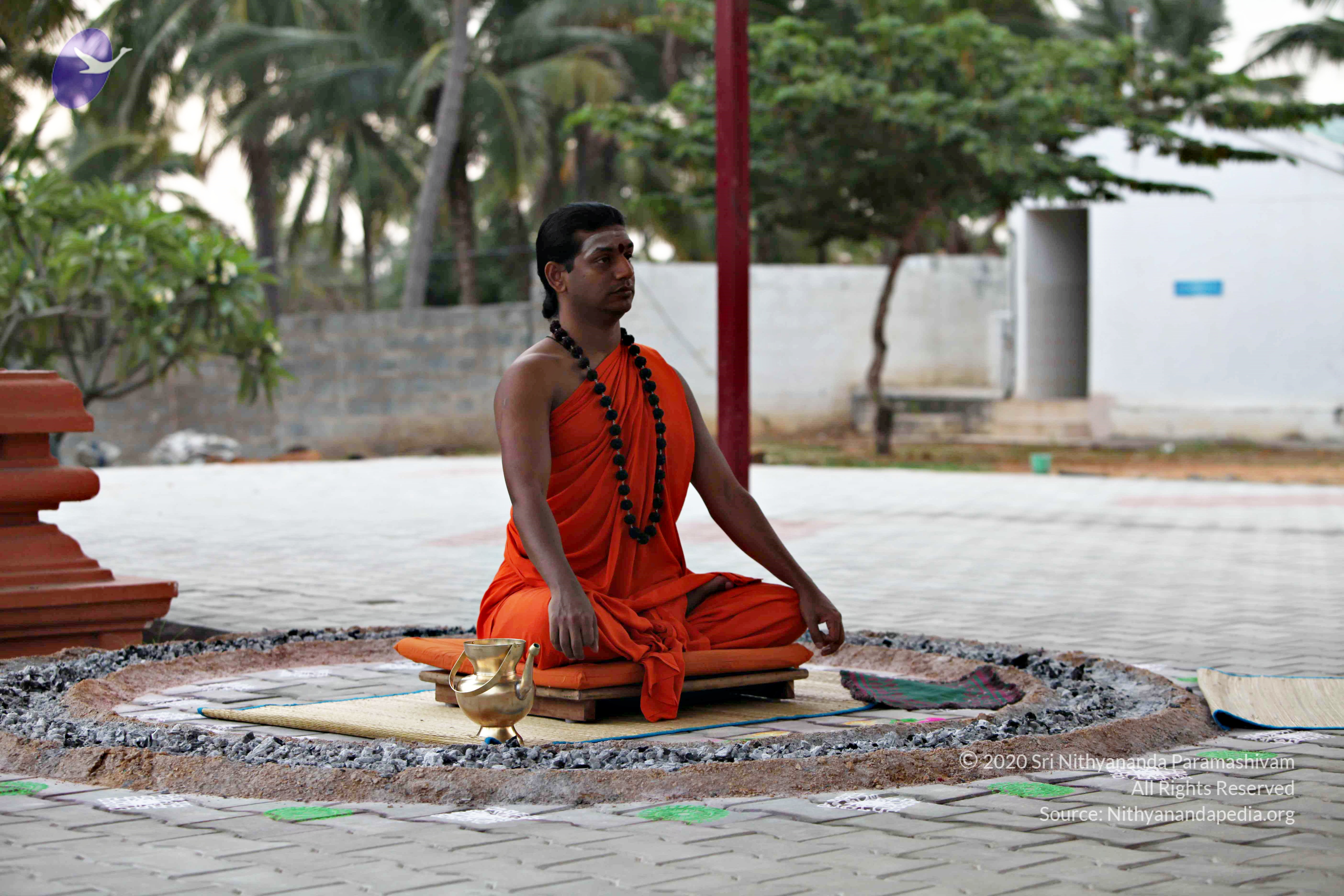 20110225_Photo_1119_IMG_0828_CMP_WM